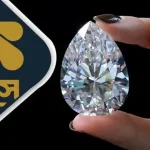স্বাধীনতা আন্দোলন থেকে চব্বিশের গণঅভ্যুত্থান, সবখানে নজরুলই অনুপ্রেরণা