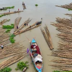 এনসিপি নেতার ওষুধ কারখানায় আবারো অভিযান: আটক ১