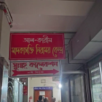 পদ্মার বুকে ‘মিনি সুইজারল্যান্ড’, বাড়ছে দর্শনার্থীর ভিড়
